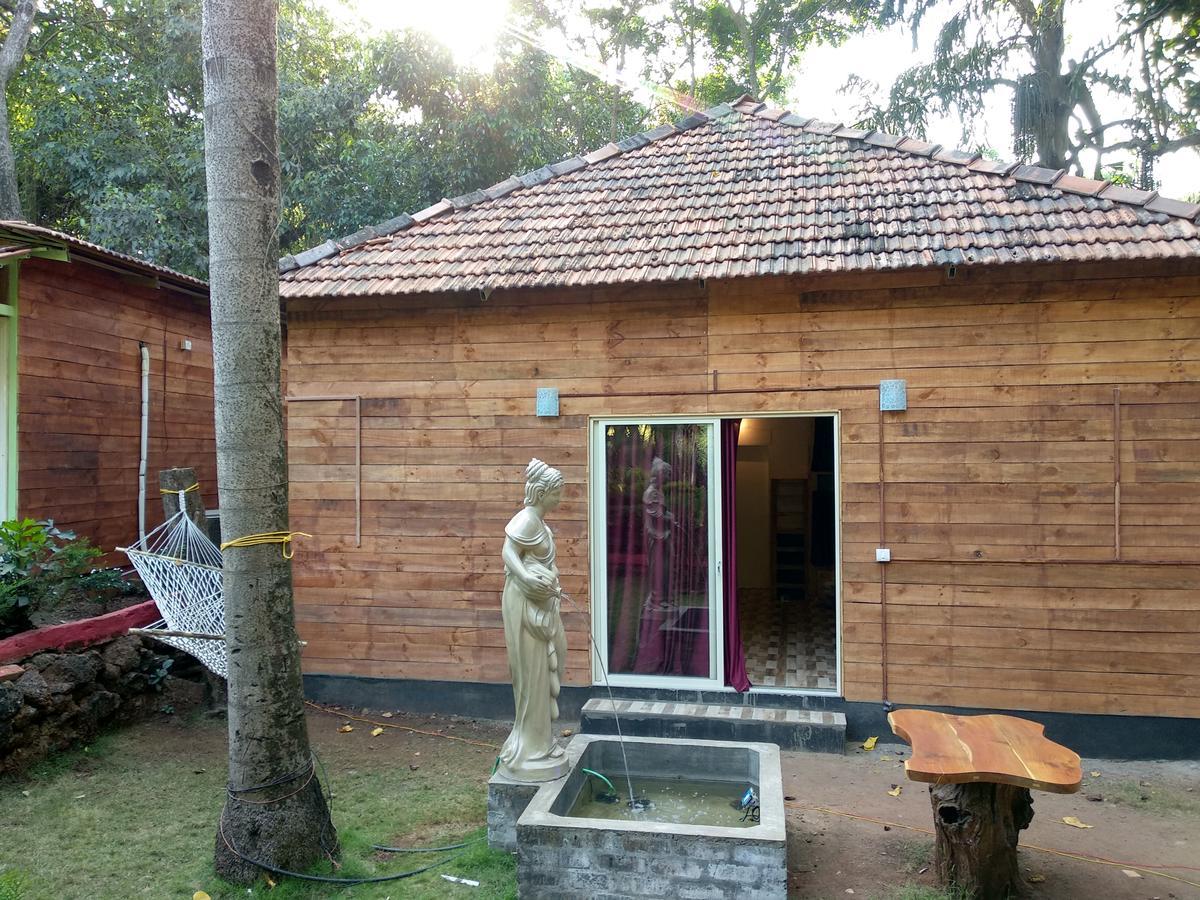 Hostel Curlies Zulu Land *